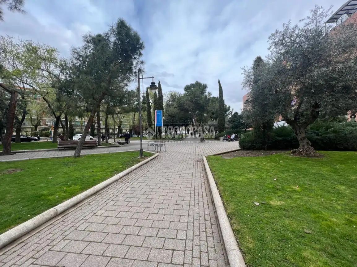 Individual for sale in Centro, imagen 13
