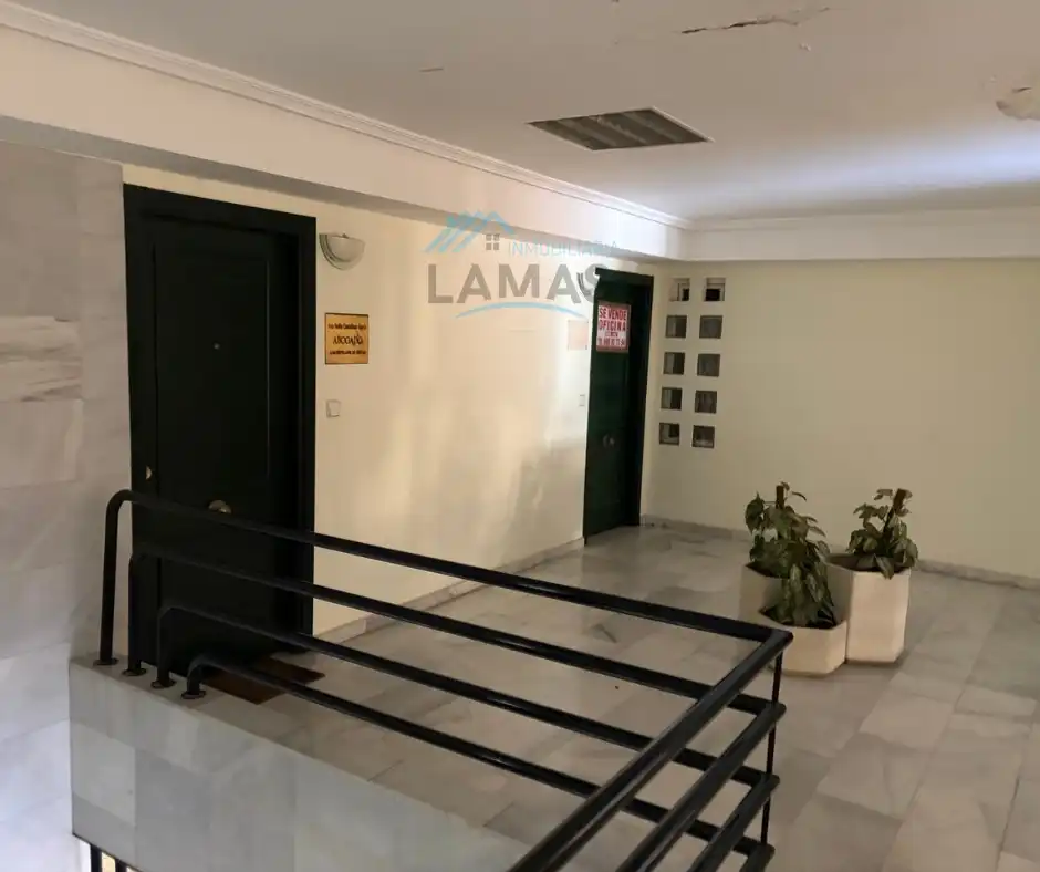 Gewerbefläche zum Verkauf in Calle Pablo Luengo 44, imagen 2