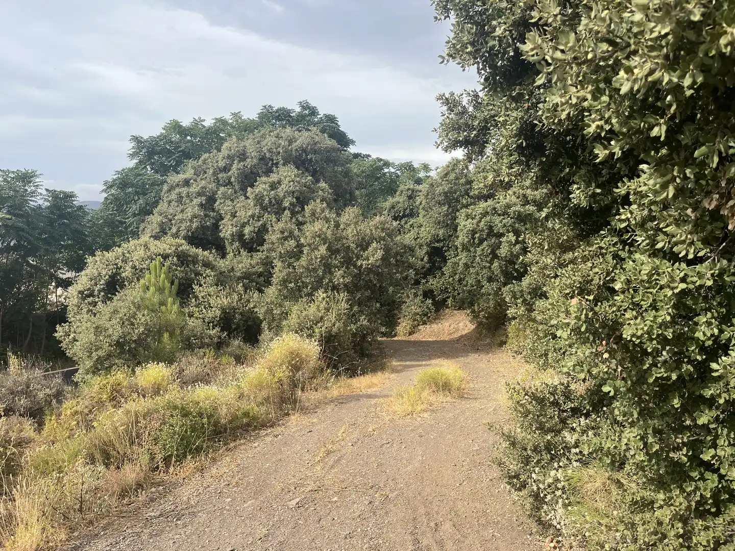 Terreno en venta en La Taha