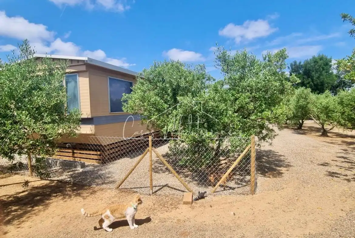 Casa rústica en venta en Llevant, imagen 34