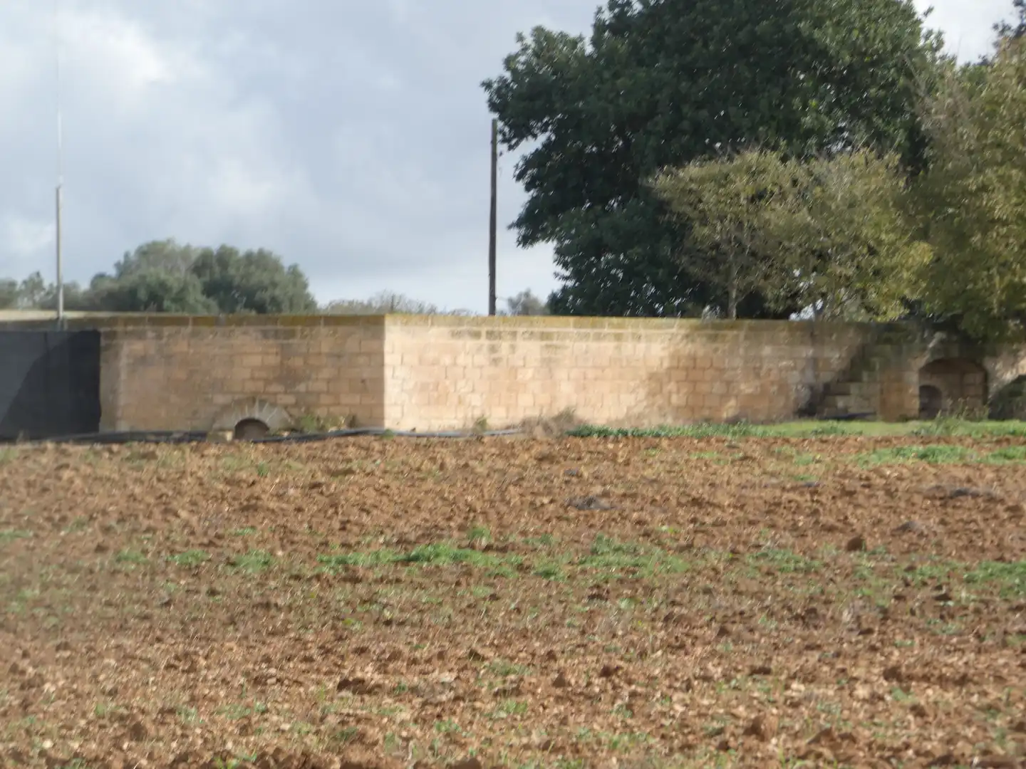 Landhaus mit Garten zum Verkauf in Manacor Centre, imagen 8