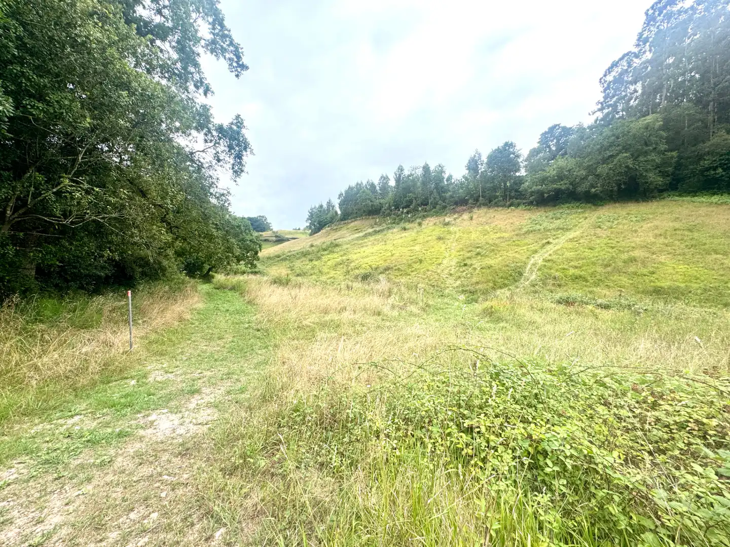 Terreno en venta en Villaviciosa