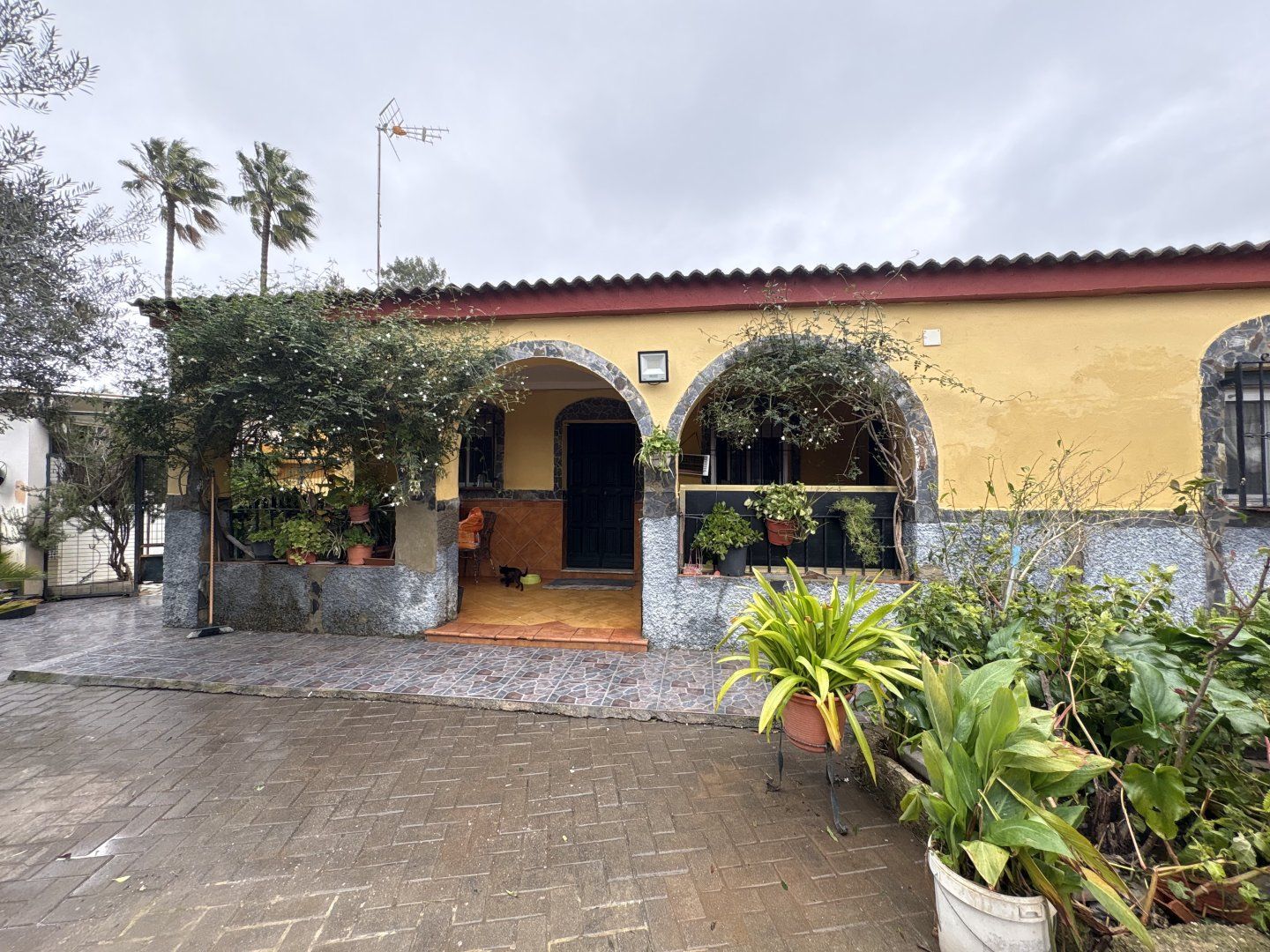 Vista exterior de Casa o xalet en venda en Sanlúcar la Mayor amb Aire condicionat i Moblat