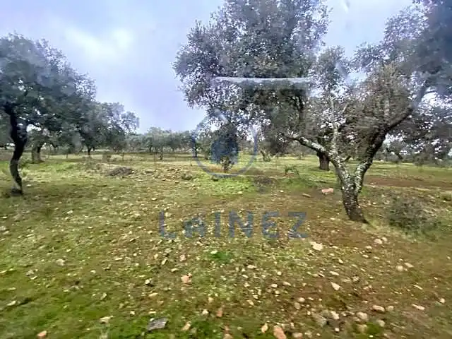 Residential land for sale in Fuente Obejuna, imagen 19