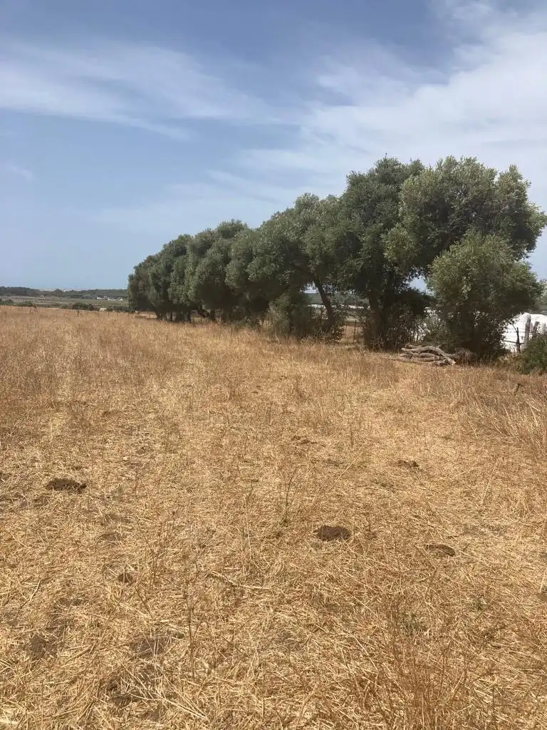 Casa rústica en venda a Barbate ciudad, imagen 11
