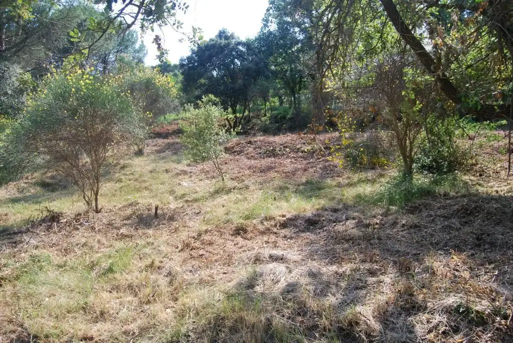 Terreny rústic en venda a Sant Celoni, imagen 6