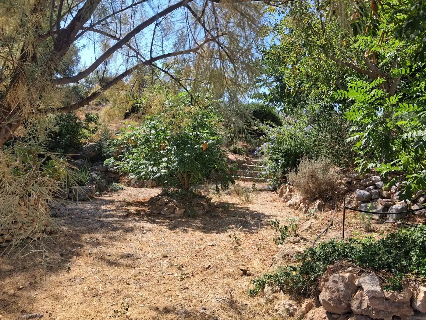 Houses for sale in Xerta