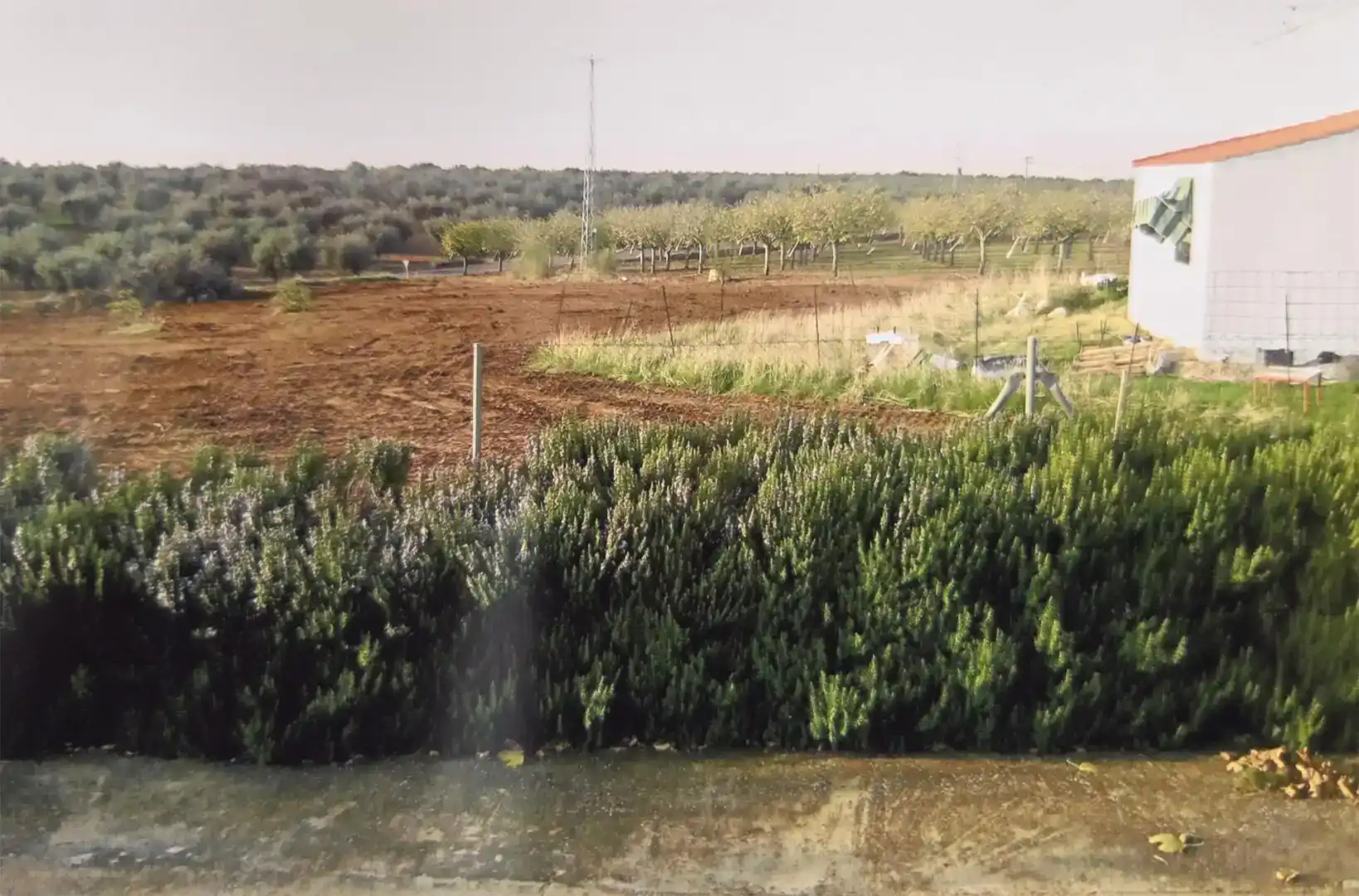 Finca rústica en venda a Carretera Guareña, 47, Cristina