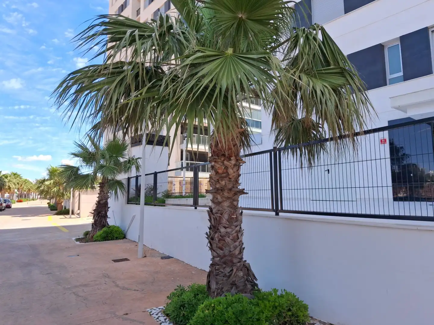Vista exterior de Apartament en venda en Oropesa del Mar / Orpesa amb Aire condicionat, Terrassa i Traster