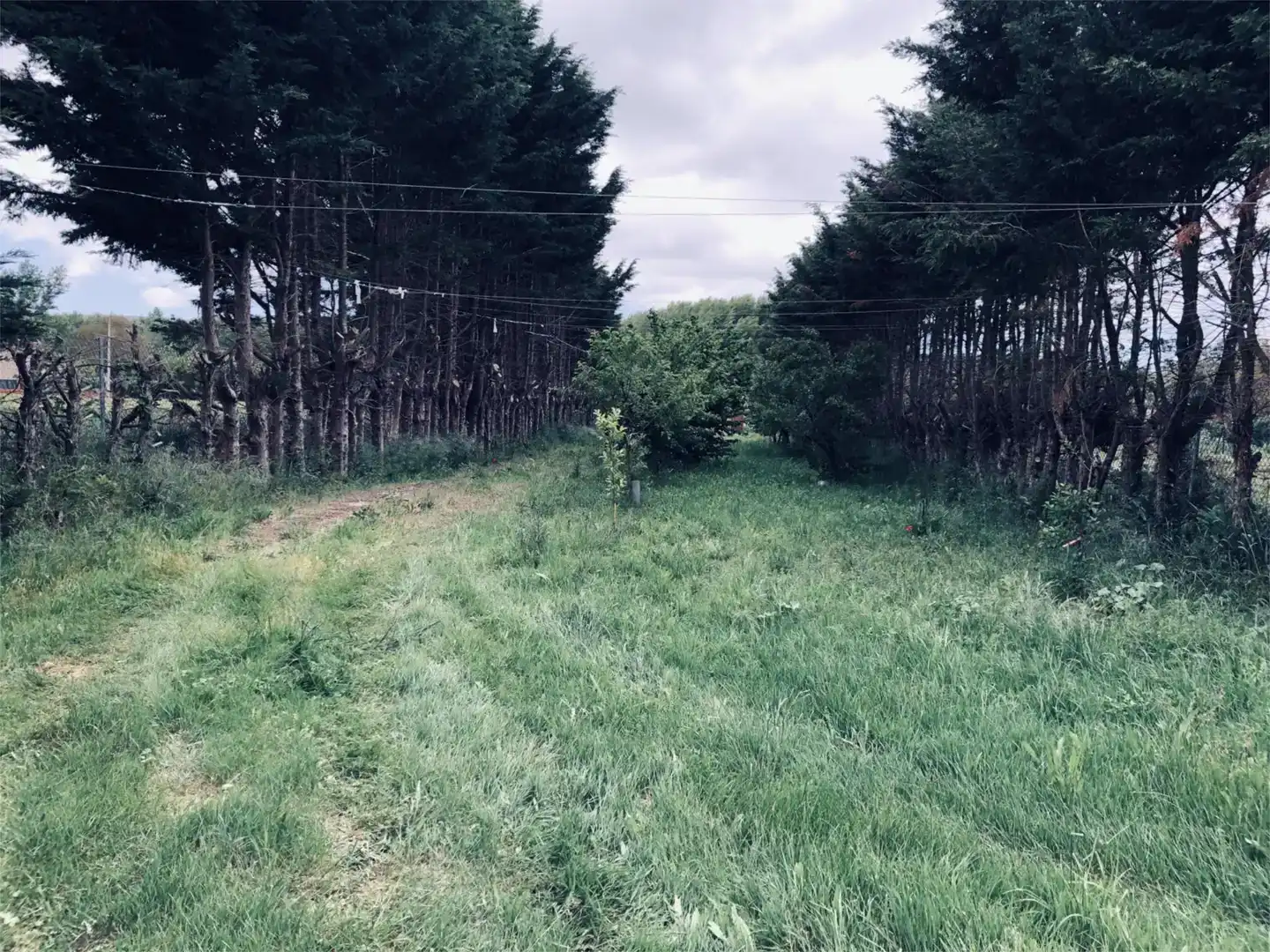 Finca rústica en venda en Cardeñajimeno