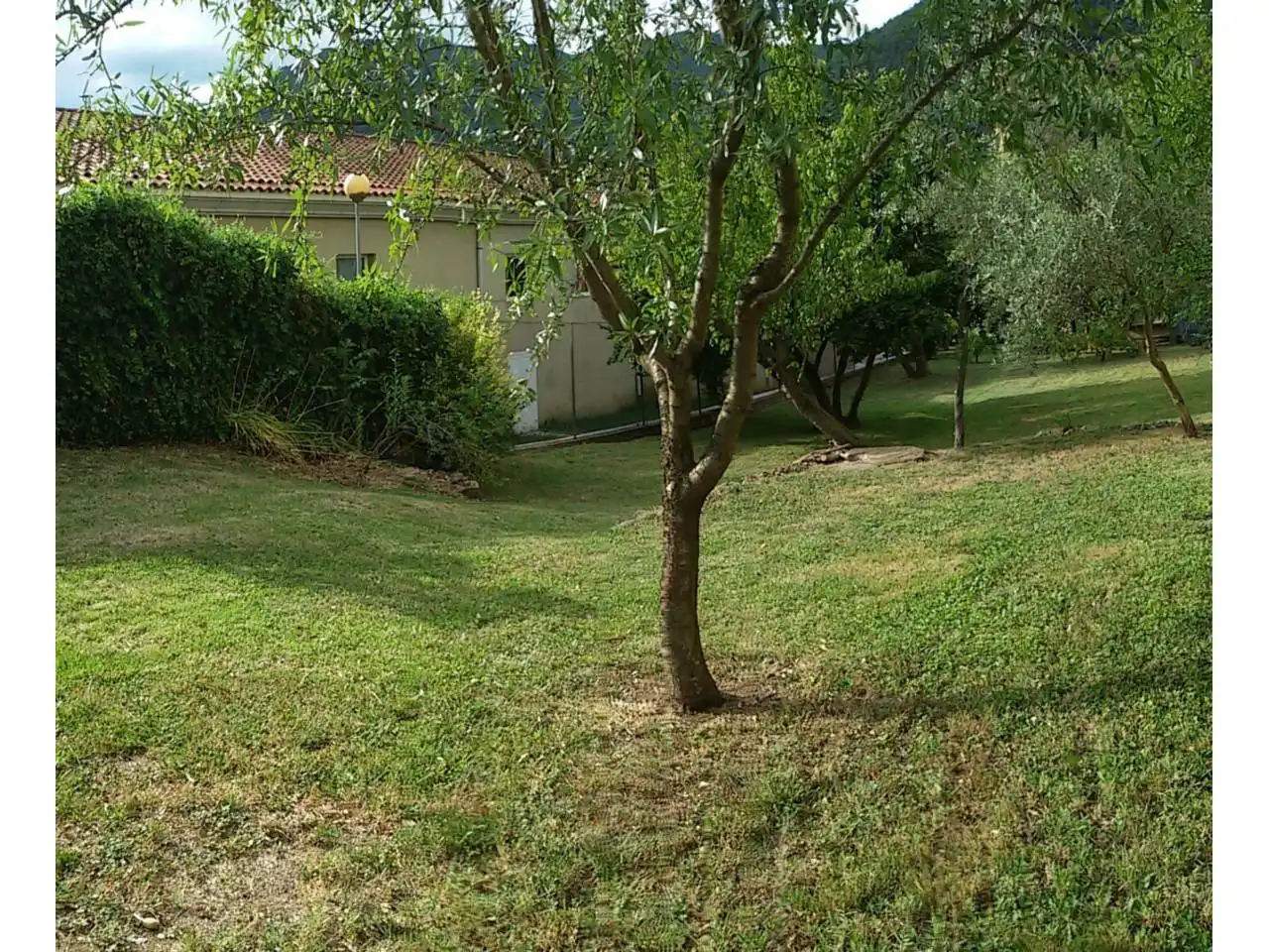 Wohnbaugrundstück zum Verkauf in Calle ENRIC GRANADOS, imagen 4