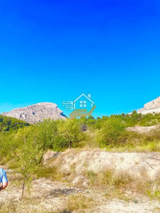Lands and plots for sale in Vélez-Blanco, imagen 15