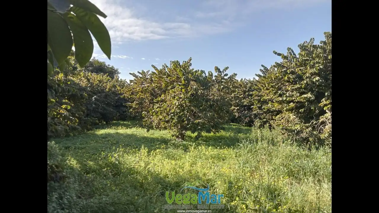 Residencial en venta en Almuñécar