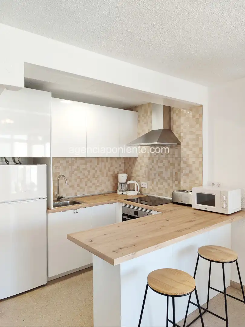 Apartments for rent in Avenida Murtal, Playa Poniente