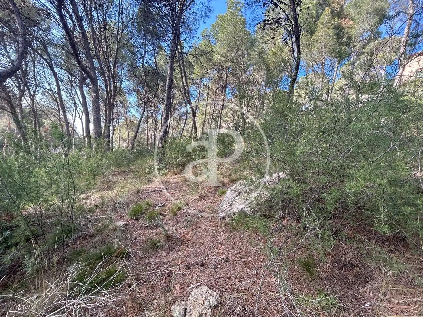 Wohnbaugrundstück zum Verkauf in El Bosque, imagen 8