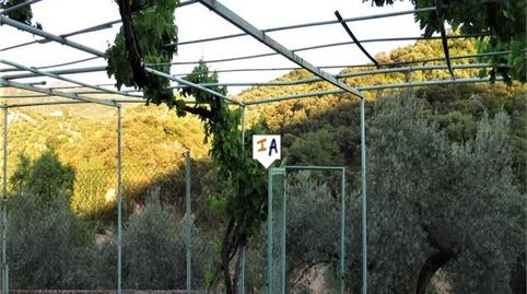 Foto 3 de Finca rústica en venda a Fuensanta de Martos, Jaén