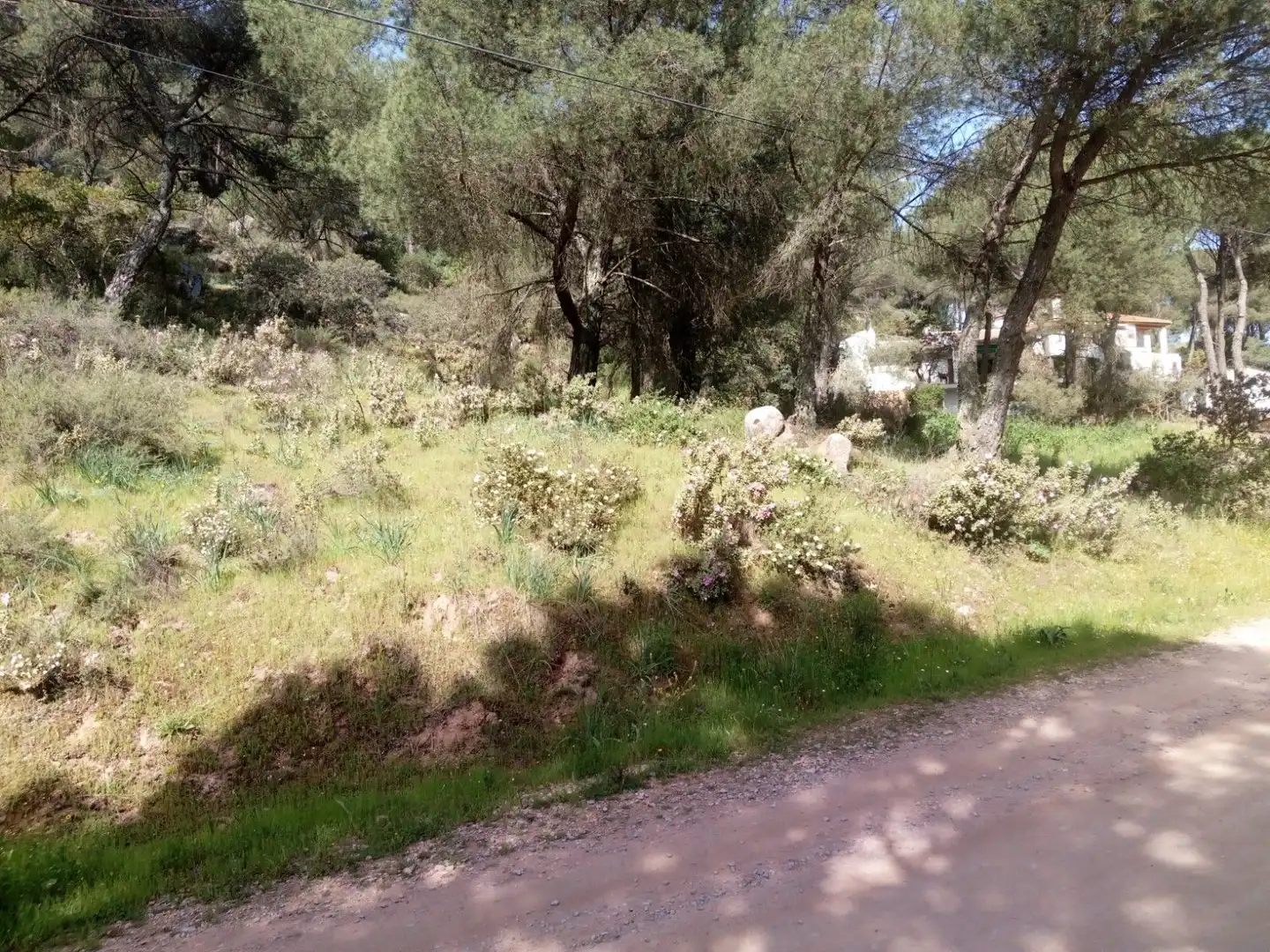 Lands and plots for sale in Periurbano Oeste - Sierra