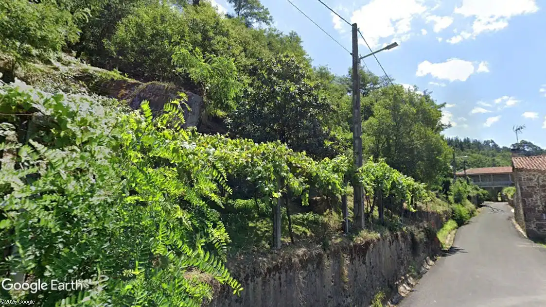 Rural land for sale in A Estrada, imagen 2