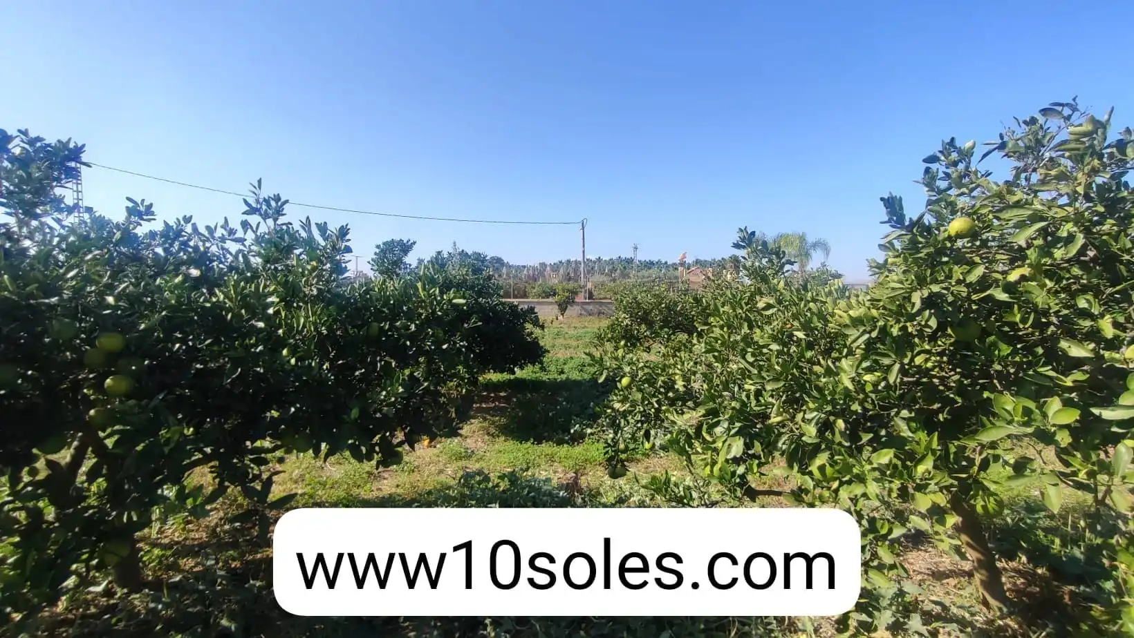 Terreno rustico in vendita a Jacarilla, imagen 12