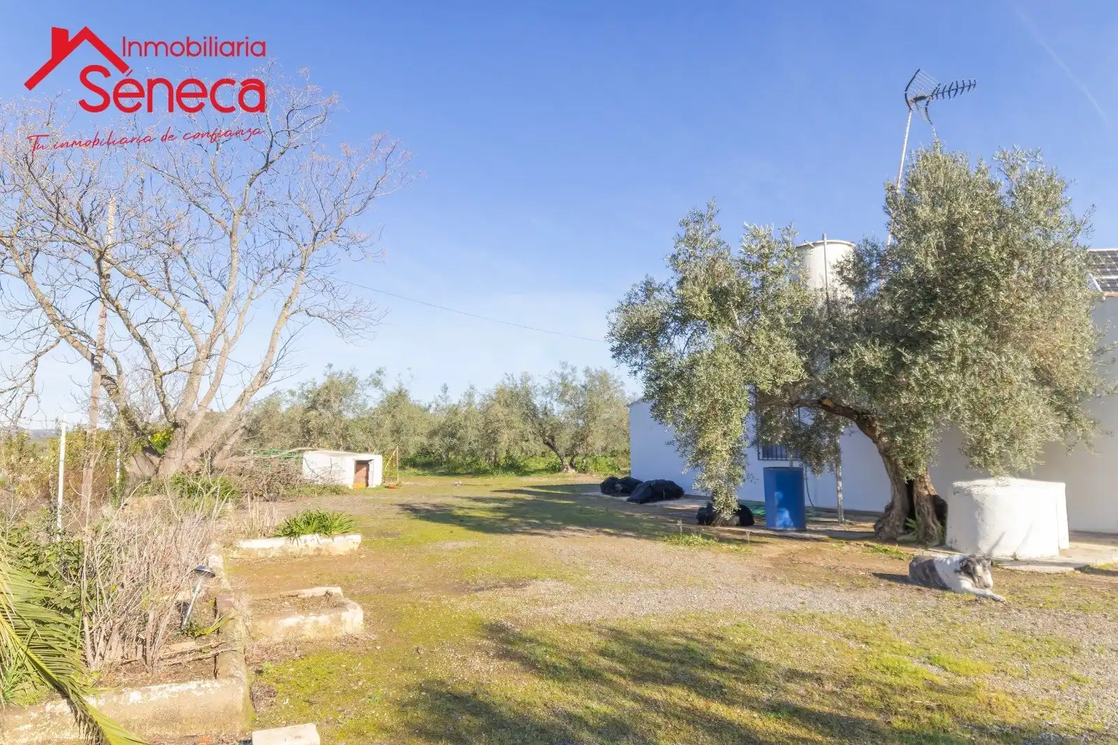 Casa o chalet en venta en ADAMUZ - ALGALLARIN, Adamuz