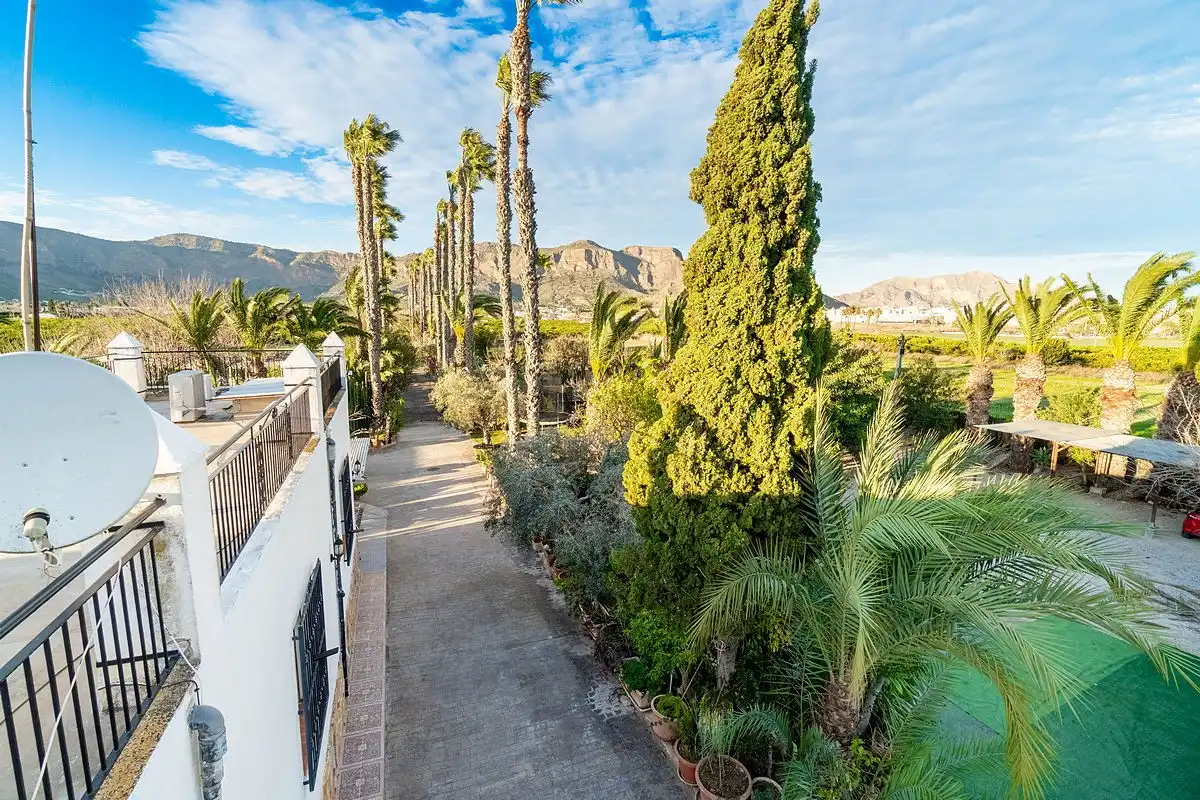 Maison rustique avec piscine à vendre à Orihuela ciudad, imagen 10