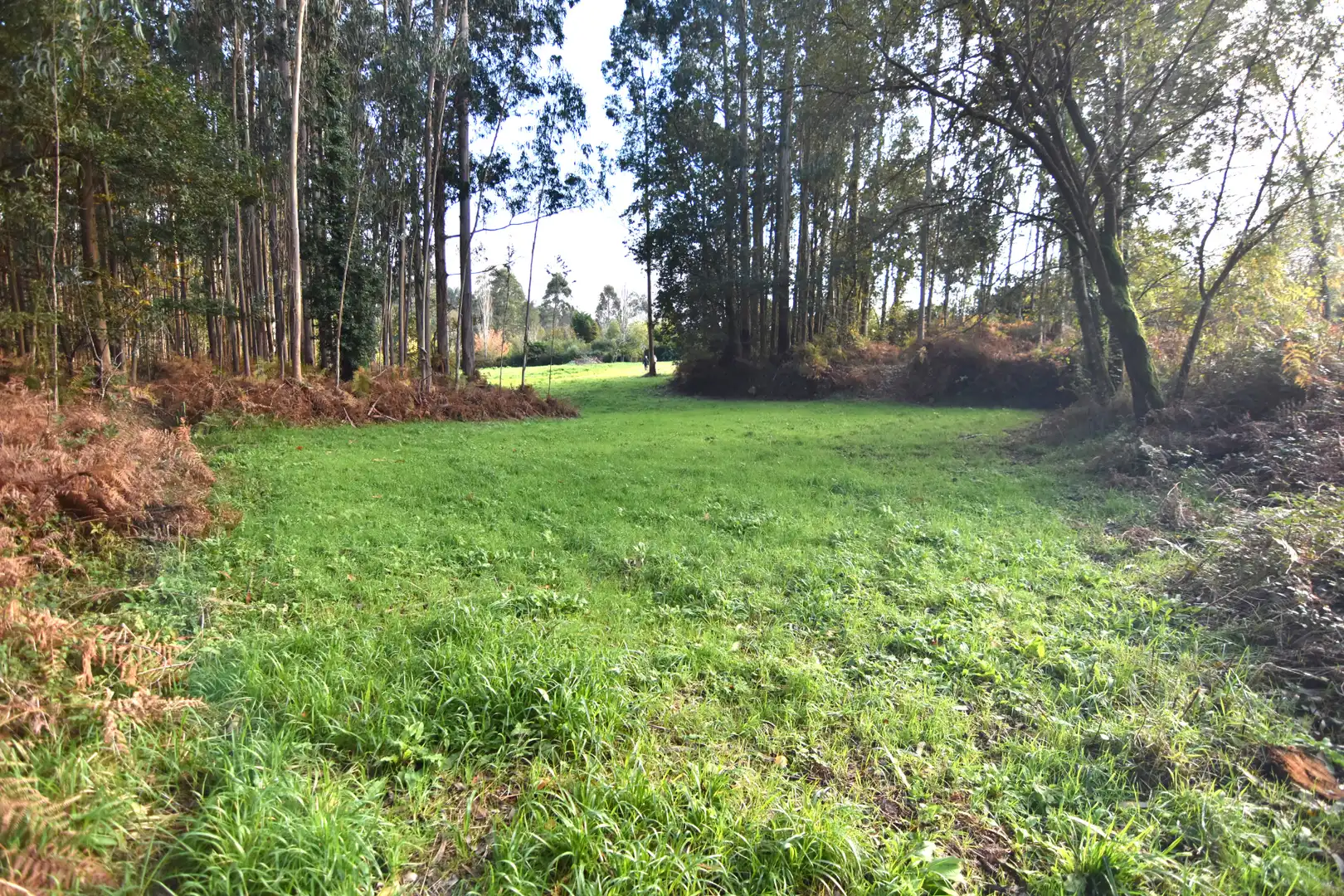Houses for sale in Narón  with Heating, Private garden and Storage room