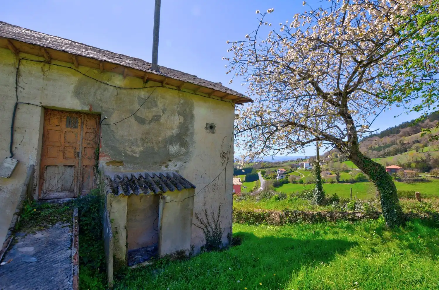 Vista exterior de Casa o chalet en venta en Tineo con Piscina
