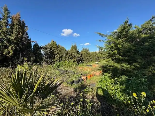 Finca rústica en venta en Coreses