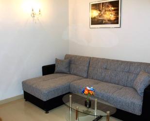 Sala d'estar de Apartament de lloguer en L'Hospitalet de Llobregat amb Moblat i Es permeten mascotes