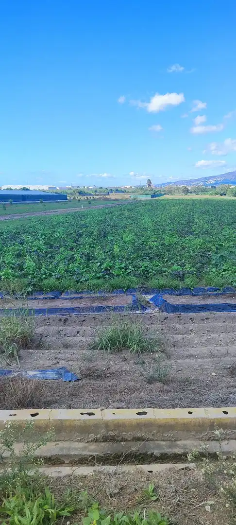 Terreno rústico en venta en Motril  ciudad, imagen 3