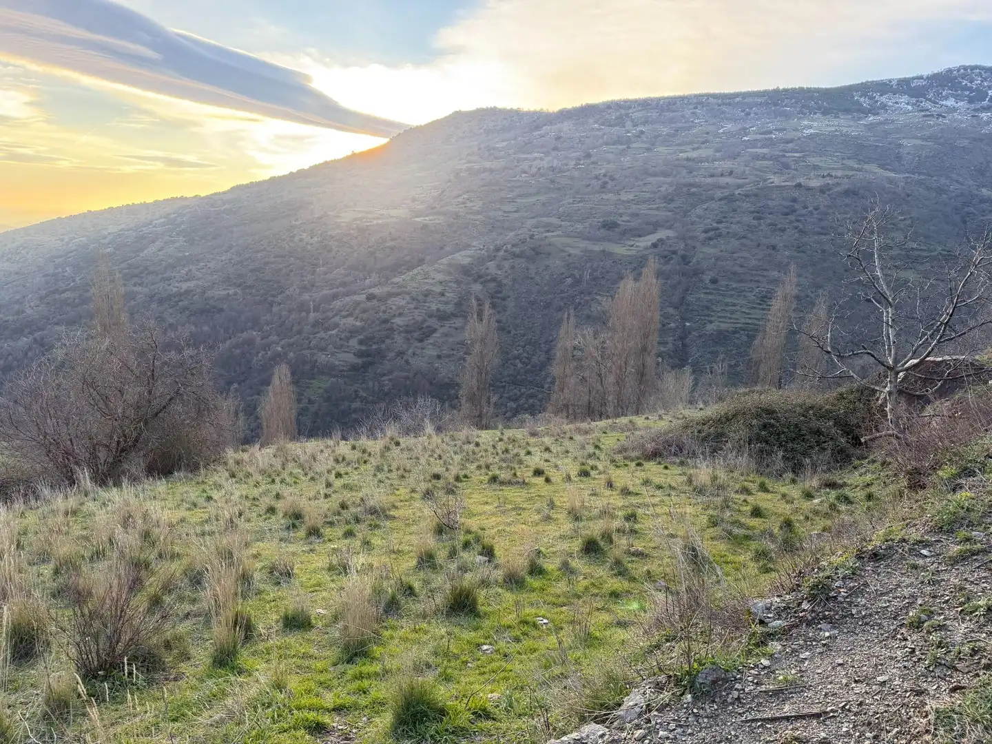 Rural land for sale in Bubión, imagen 17