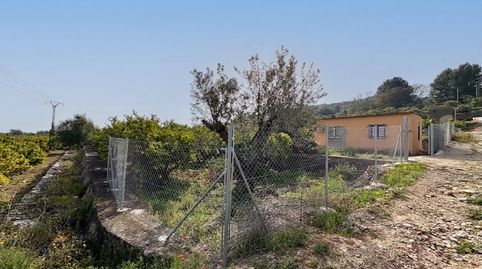 Casa legal con parcela de mandarinos