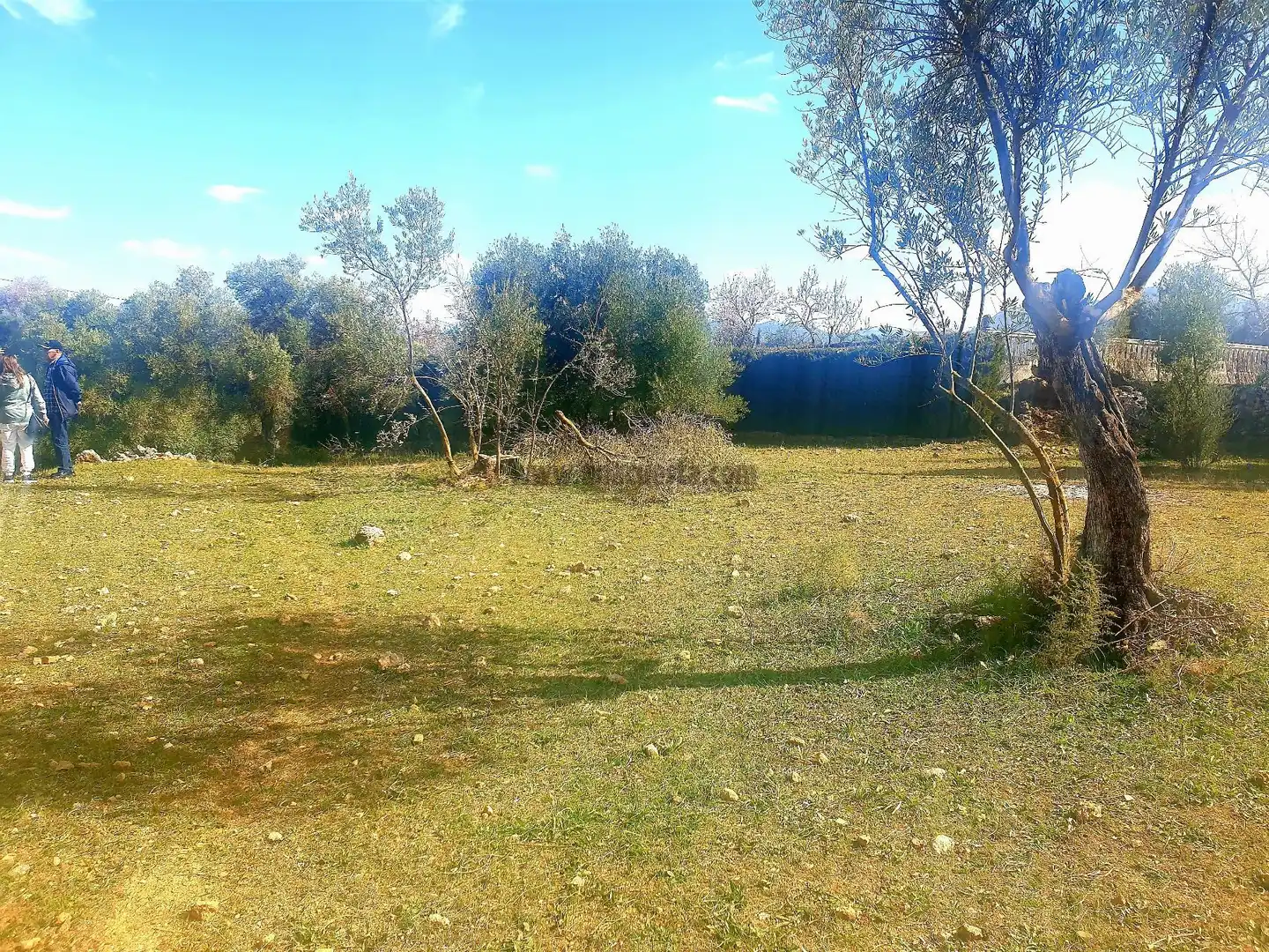 Terrenys i solars en venda a La Planilla, Cra. A-6300, imagen 5