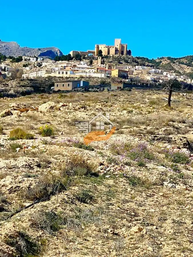 Terrenos y solares en venta en Vélez-Blanco, imagen 2