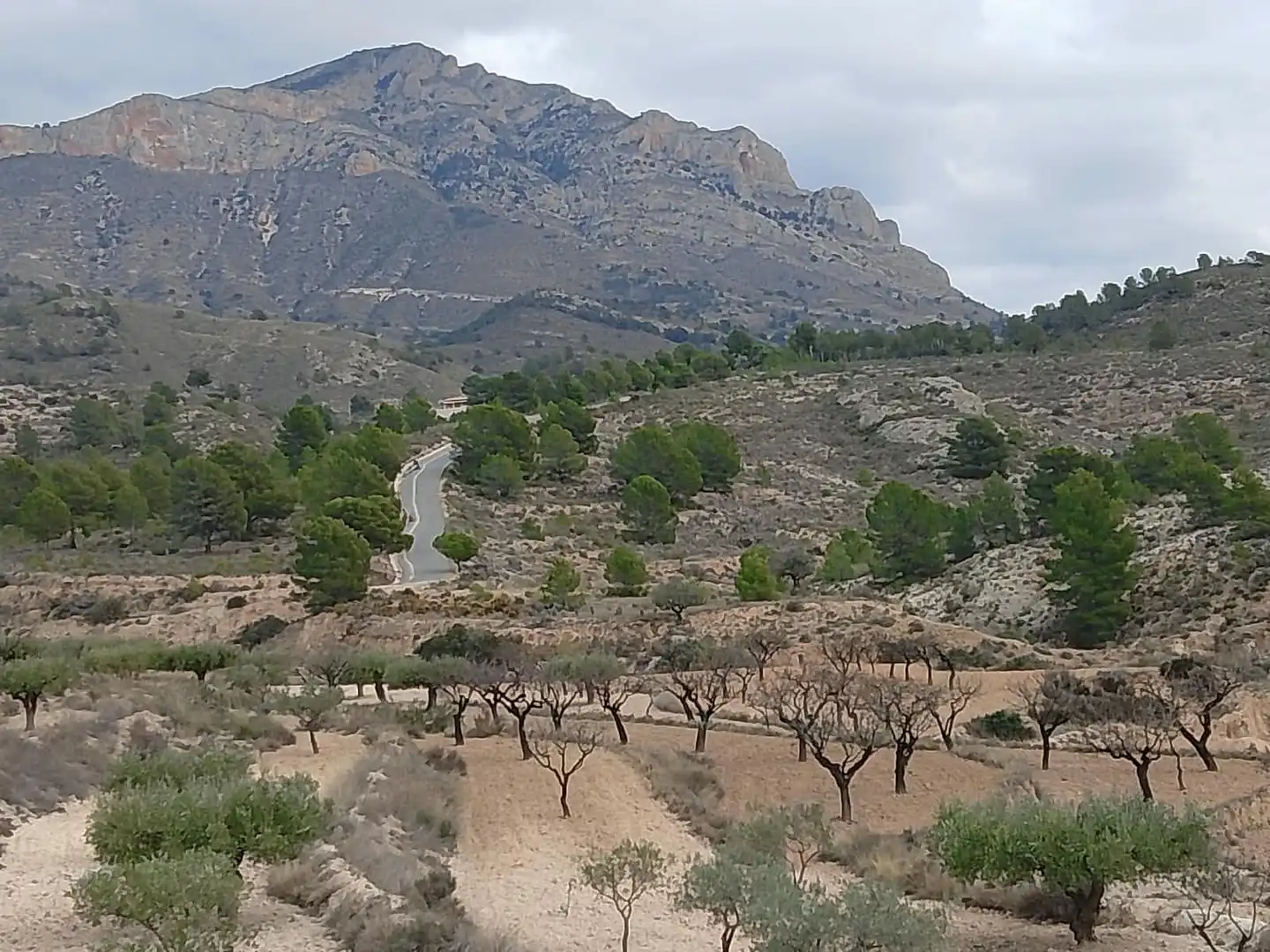 Casa rustica con giardino in vendita a Lugar Castillo, imagen 2