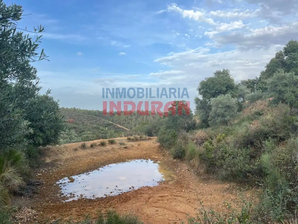 Country house for sale in Castañar de Ibor, imagen 4