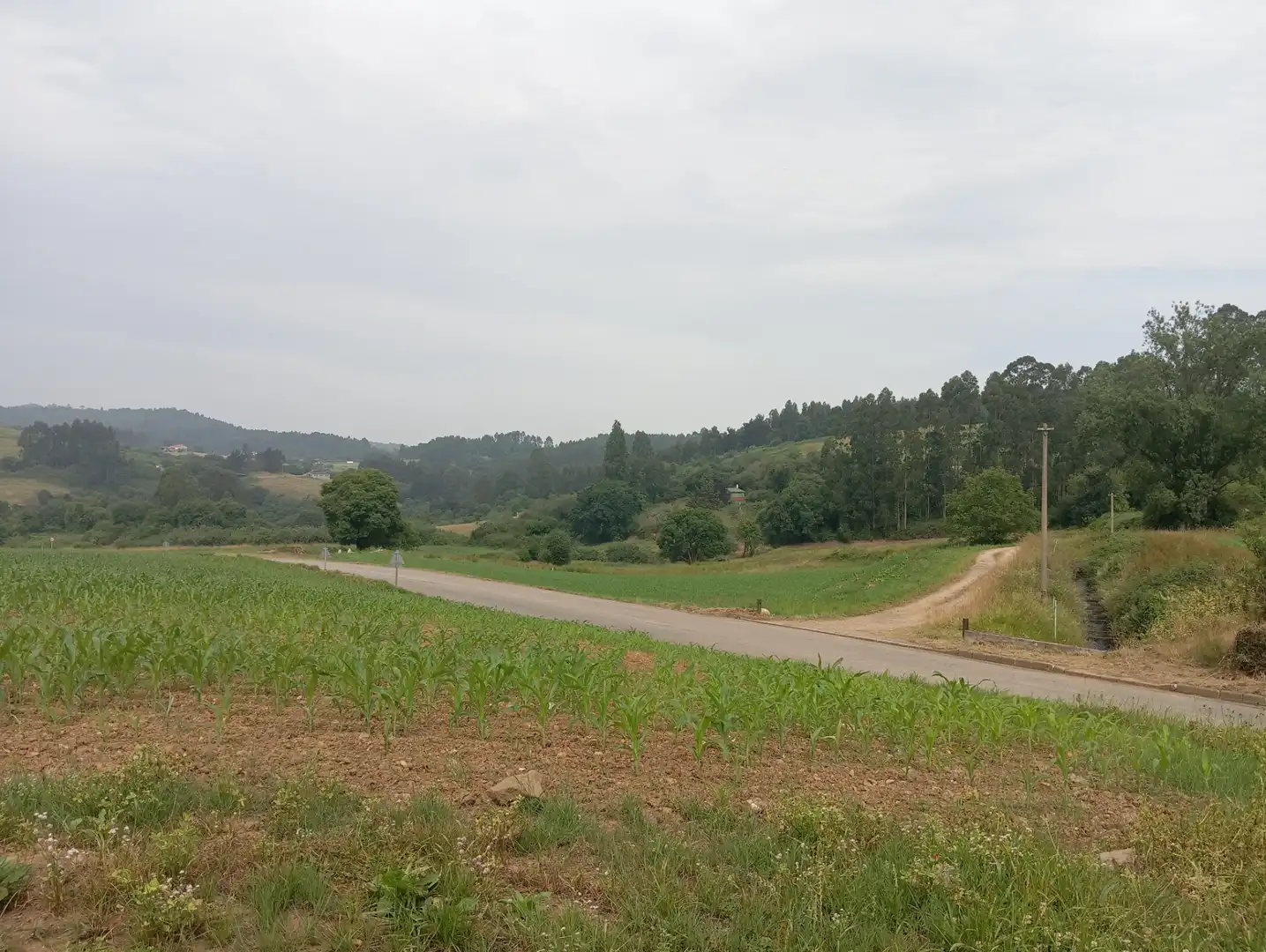 Terreni e lotti in vendita a Lugar el Cuadro 24