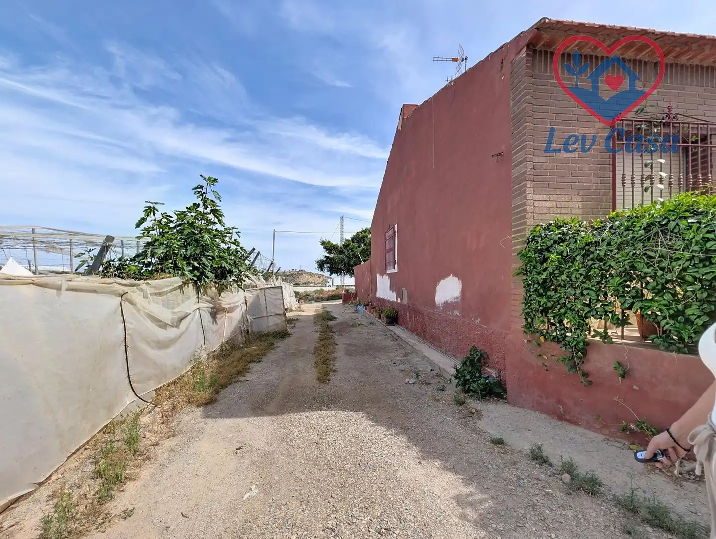 Vista exterior de Casa o chalet en venta en Lorca