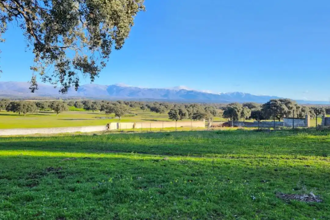 Terreno en venta en Casco Antiguo