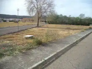 Terreny residencial en venda a Calle Castaño, imagen 2