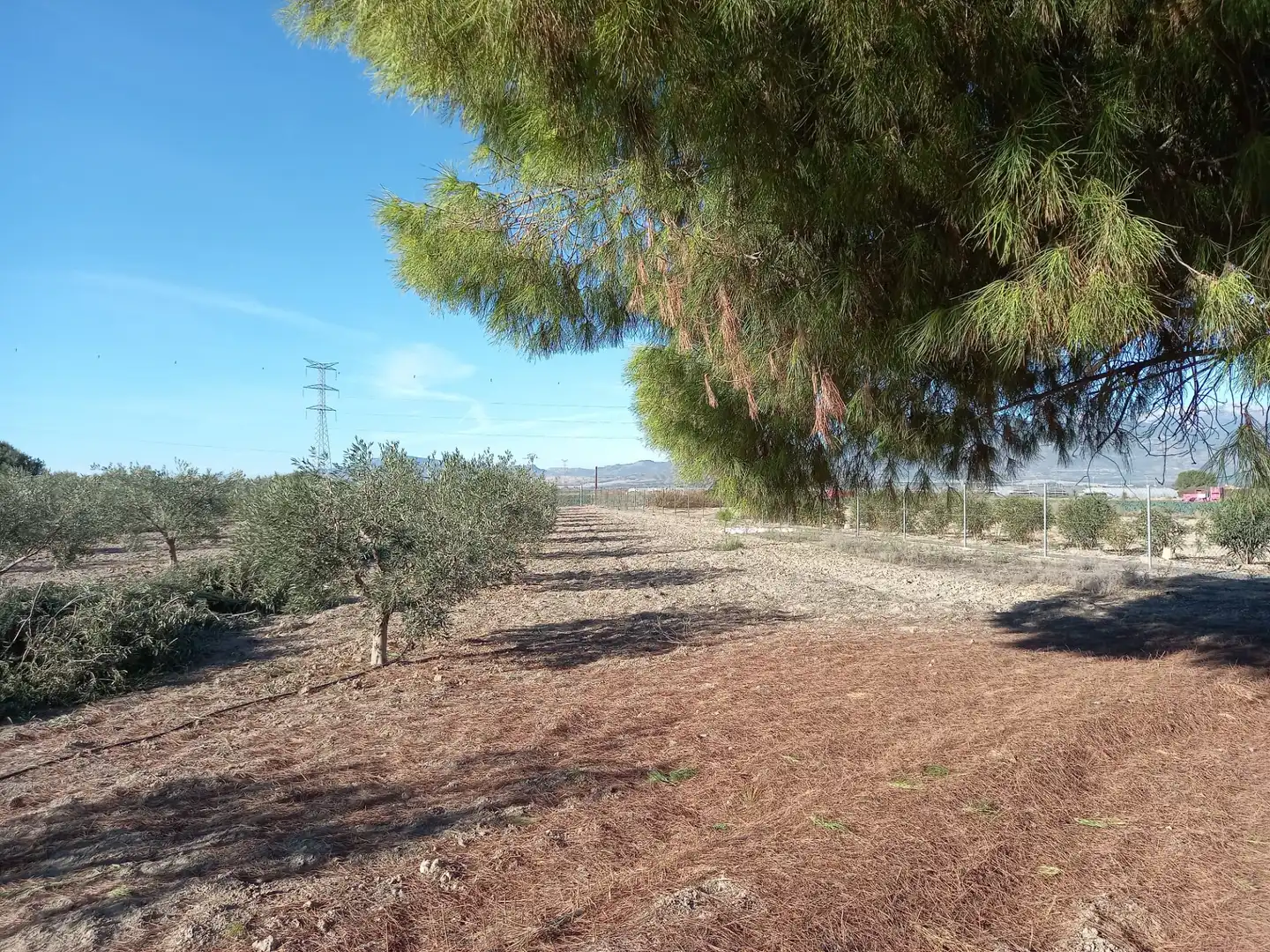 Casa o chalet en venta en Alhama de Murcia con Calefacción, Jardín privado y Terraza