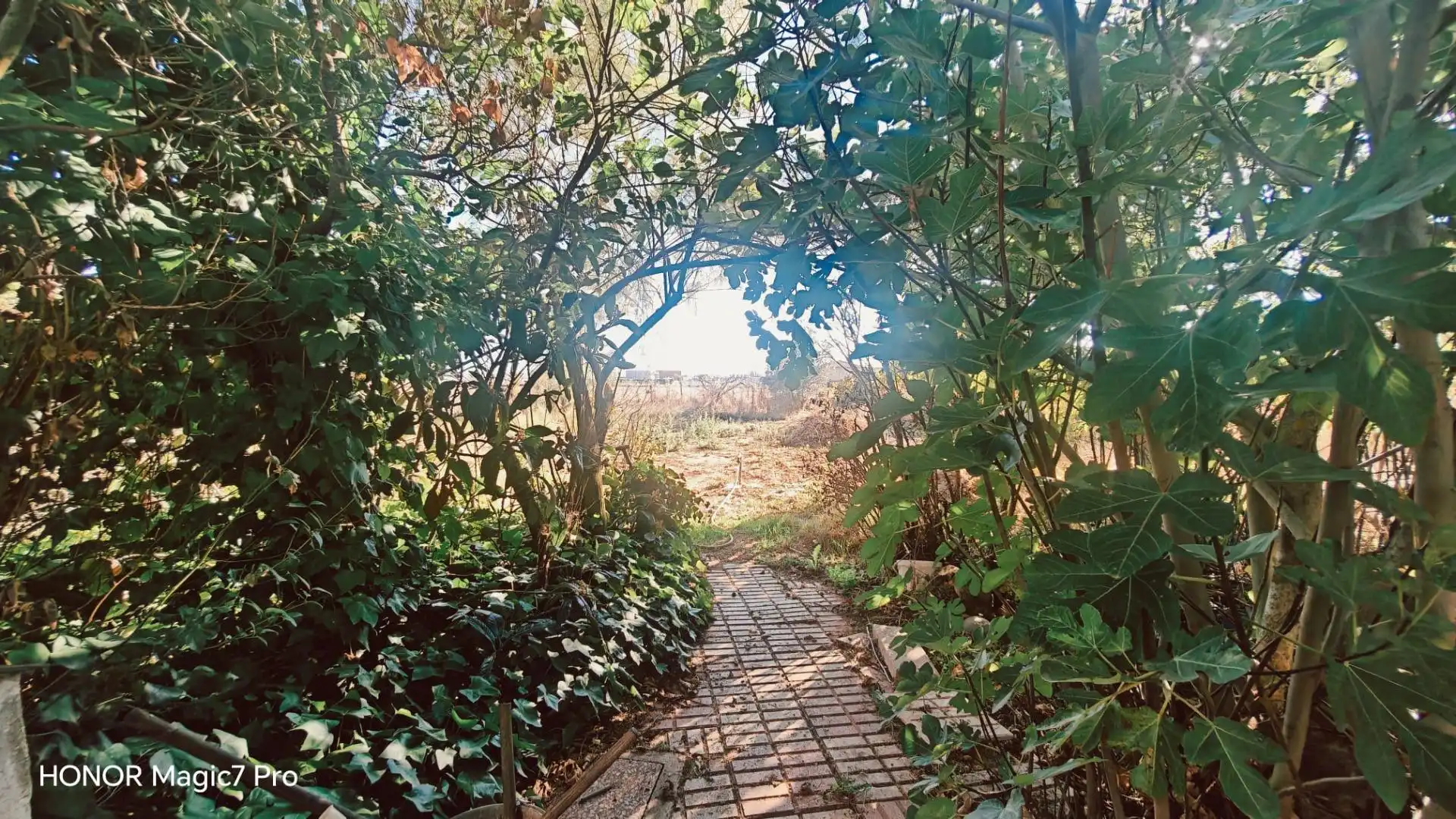 Jardí de Finca rústica en venda en Urbanización Siglo XXI - Carretera de Villalpando