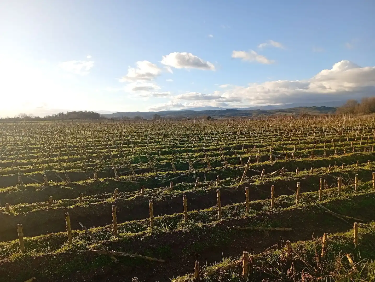 Exterior view of Land for sale in Losar de la Vera
