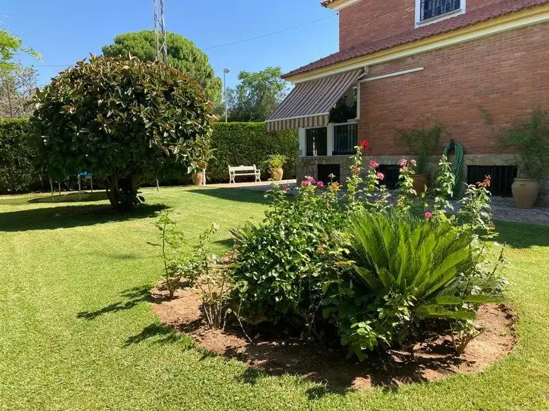 Jardí de Casa o xalet en venda en Córdoba amb Aire condicionat, Calefacció i Jardí privat