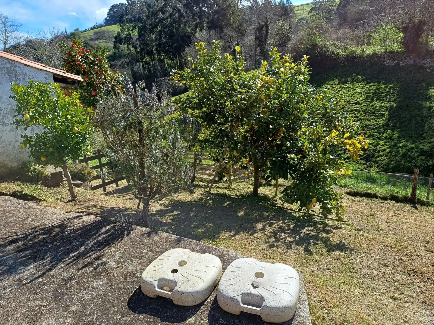 Jardí de Casa o xalet en venda en Illas amb Terrassa, Traster i Piscina
