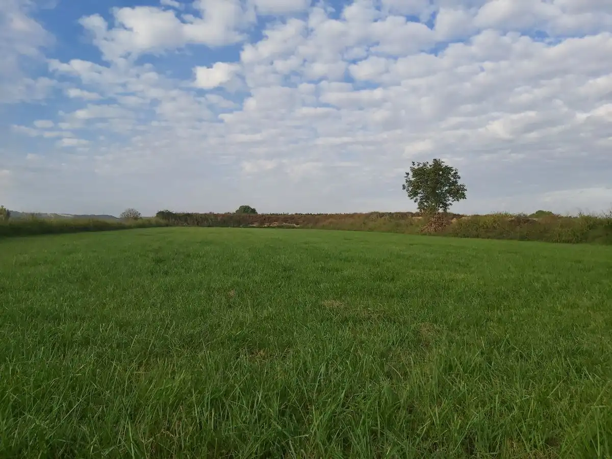 Finca Rúst. en venta en Puigverd De Lleida., imagen 4