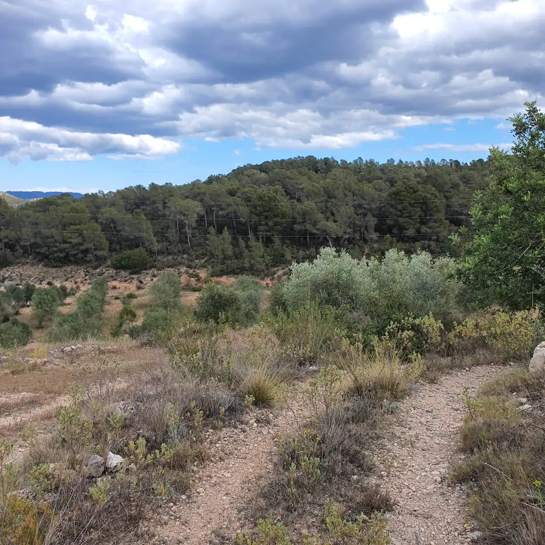 Rural land for sale in El Pinell de Brai, imagen 7