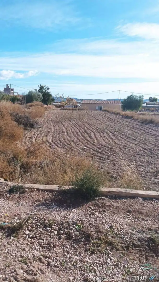 Residential land for sale in Novelda, imagen 2