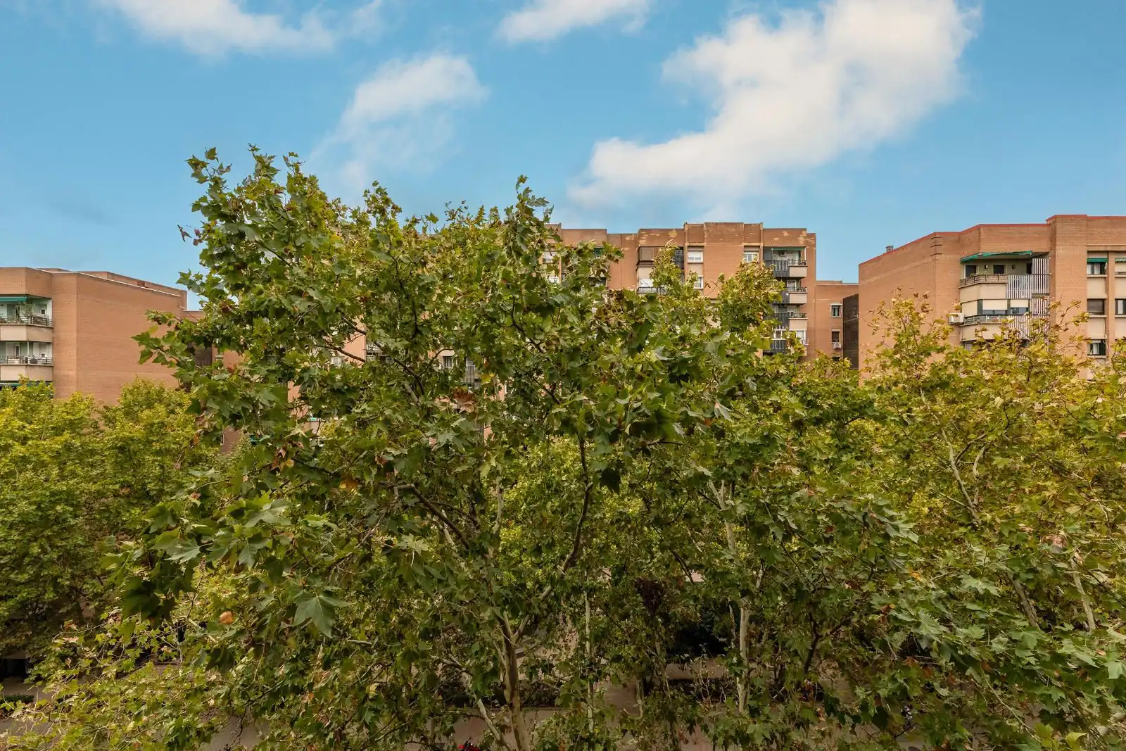 Exterior view of Flat for rent in Retiro
