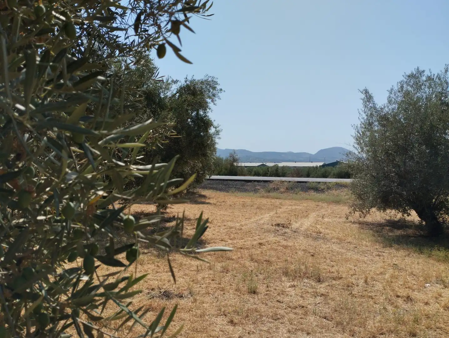 Terreno rustico in vendita a Avenida Fuente de las Piedras